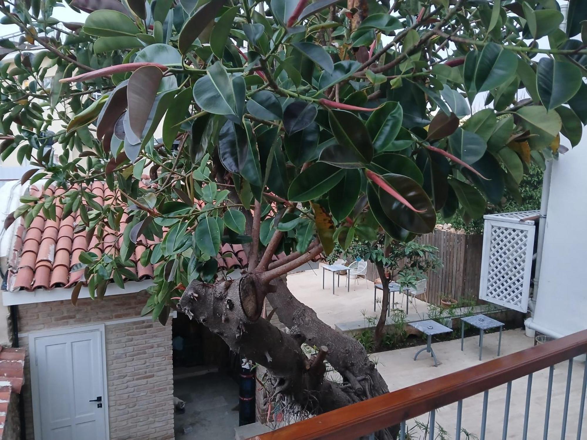 House Of Good Things Zeytin çıkmazı Hotel
